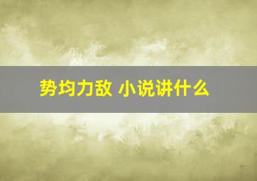 势均力敌 小说讲什么